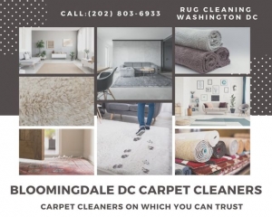 How Often Should You Get Your Rugs Cleaned by Bloomingdale DC Carpet Cleaners?